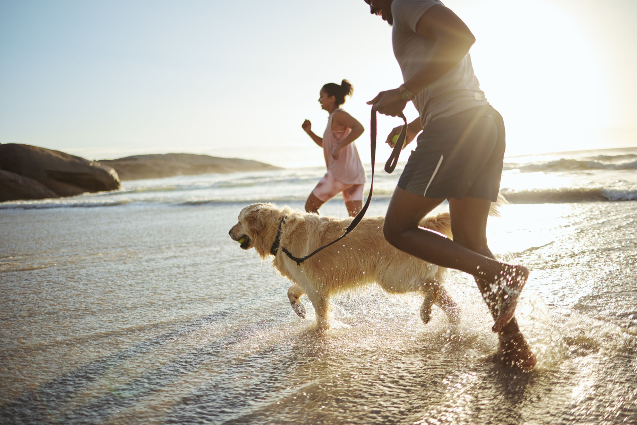 pet friendly beach