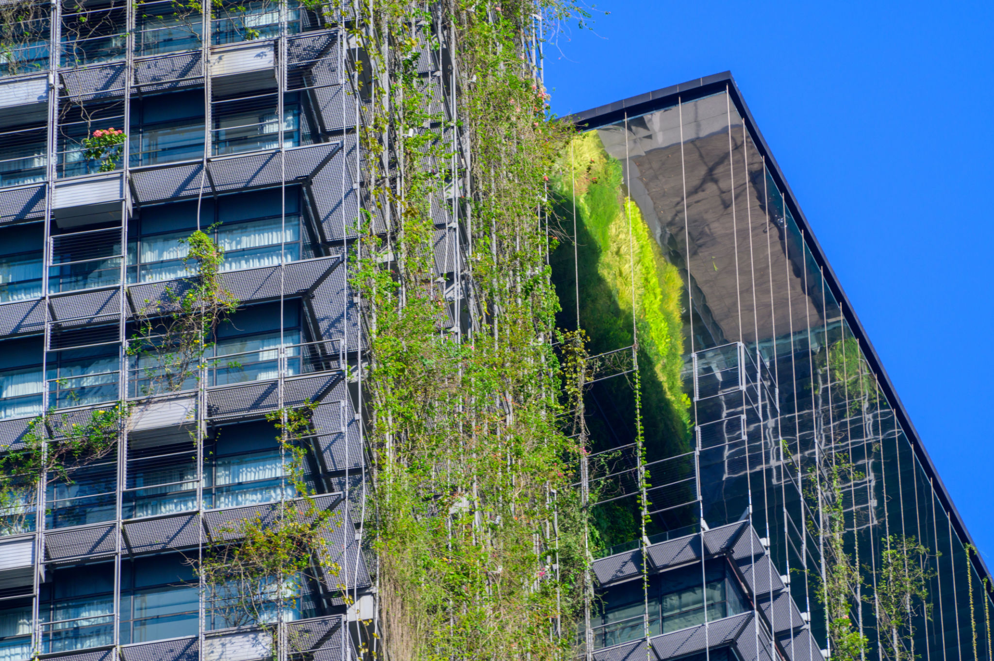 Green Eco Building in the City with Blue sky background Green Eco Building in the City with Blue sky background