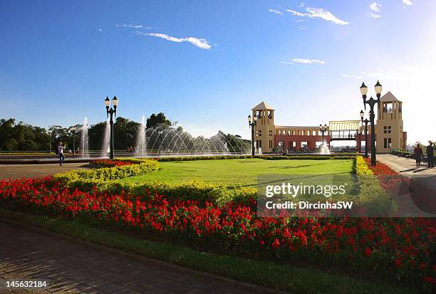 parque tanguá - curitiba stock-fotos und bilder