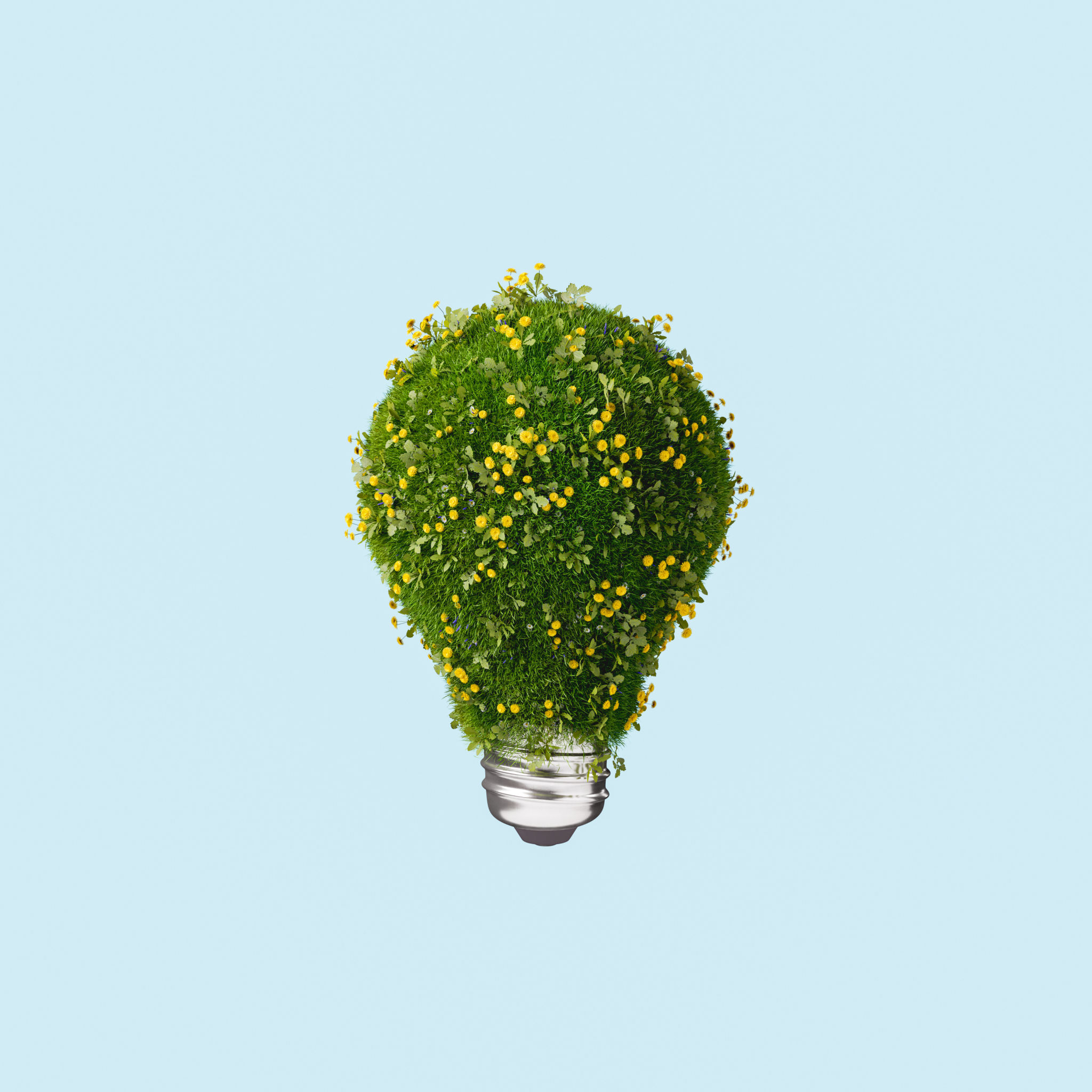 sustainable art