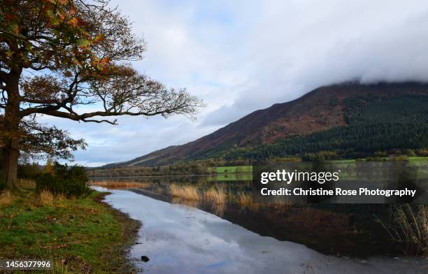 reflections at bassenthwaite lake - cumbria stock pictures, royalty-free photos & images