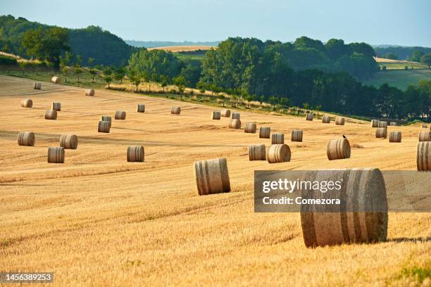 Haystack Gold Photos and Premium High Res Pictures - Getty Images