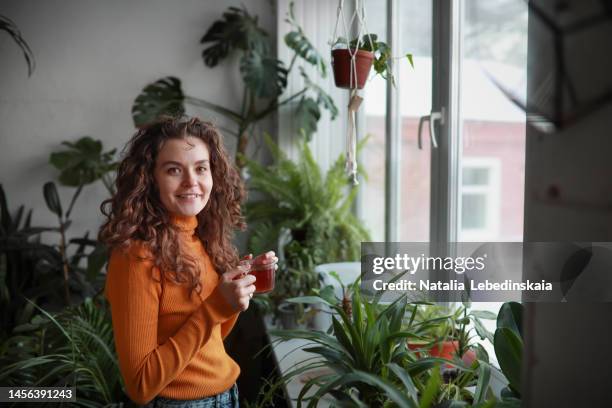 relaxed young woman stay near window at home drink herbal tea. looking at camera. - té terraza fotografías e imágenes de stock