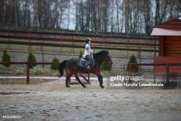 teenage girl in sweater on horse galloping across sand. - animal head human body stock pictures, royalty-free photos & images