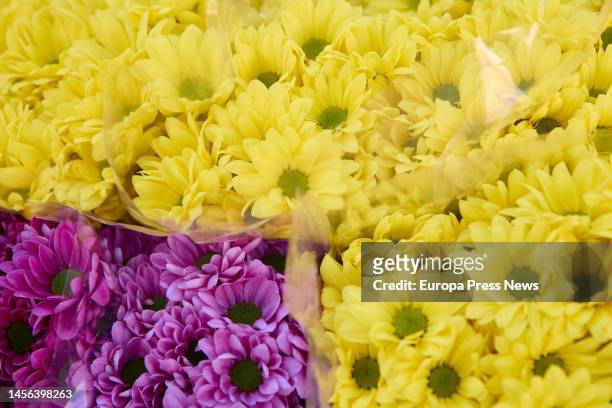 Bouquets of flowers prepared at a stall in Tirso de Molina square, on 14 January, 2023 in Madrid, Spain. On January 14 in Madrid . The Tirso de...