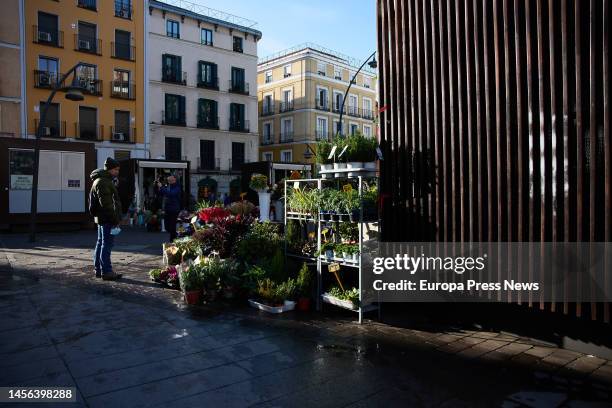 Man approaches a stall in Tirso de Molina square, on 14 January, 2023 in Madrid, Spain. On January 14 in Madrid . The Tirso de Molina Flower Market...