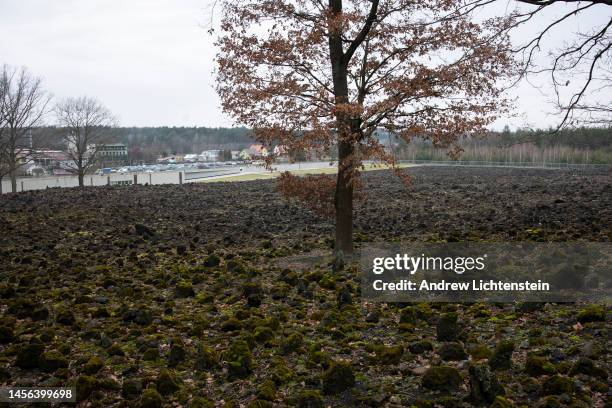 16 Belzec Death Camp Stock Photos, HighRes Pictures, and Images