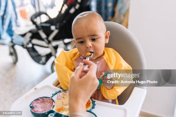 mom feeding her baby with a spoon. baby lead weaning method. - work hard play hard stock pictures, royalty-free photos & images