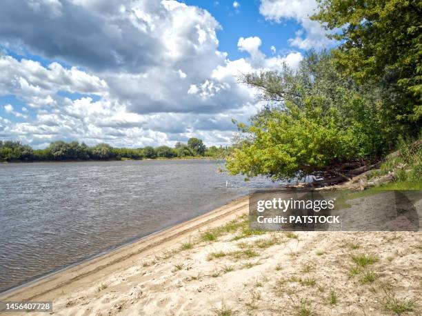 vistula riverbank in summer. - cieszyn stock pictures, royalty-free photos & images