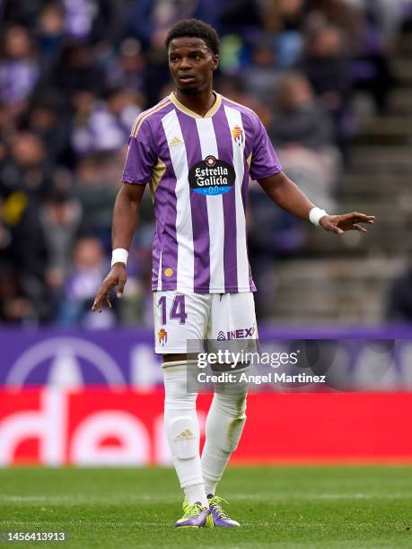 Malsa Mickael Malsa Photos and Premium High Res Pictures - Getty Images