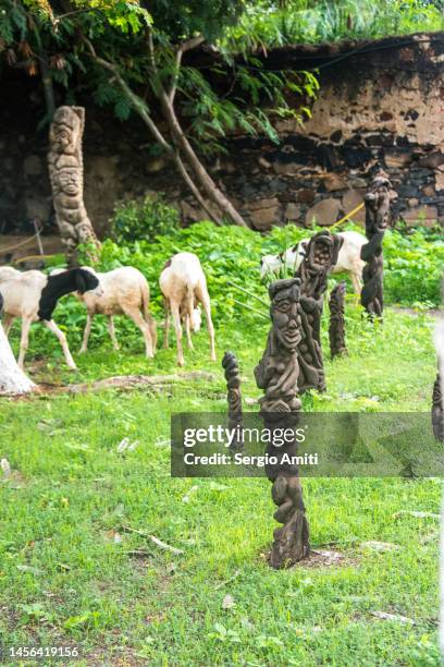 sheep grazing on gorée island - african totem poles stock pictures, royalty-free photos & images