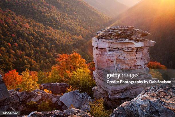 last rays at lindy point, blackwater falls sp - monongahela national forest stock-fotos und bilder