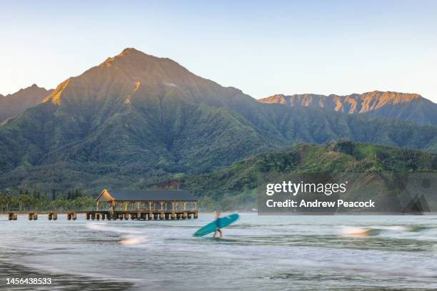 a woman is heading out for a surf in front of the pier at hanalei bay on the island of kauai. - kauai stock pictures, royalty-free photos & images