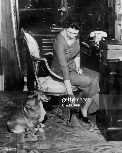 Britain's Queen Elizabeth II pictured on January 31 at her office with her Corgis dog Susan. AFP PHOTO