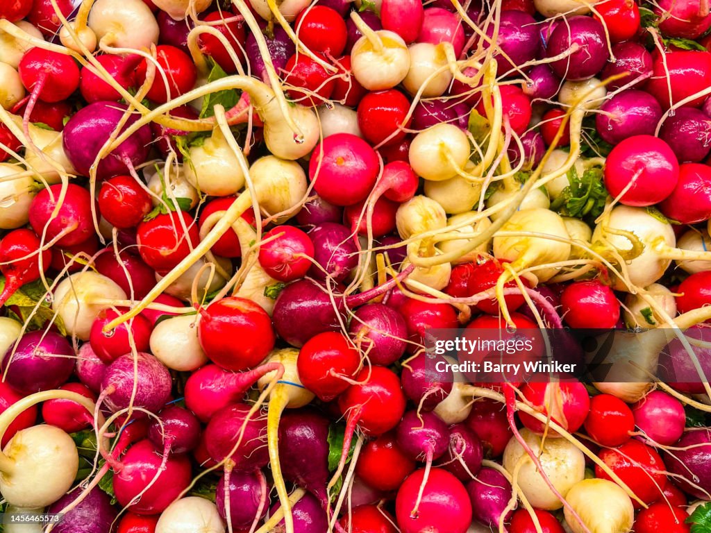 Bunches of Easter Egg radishes in supermarket