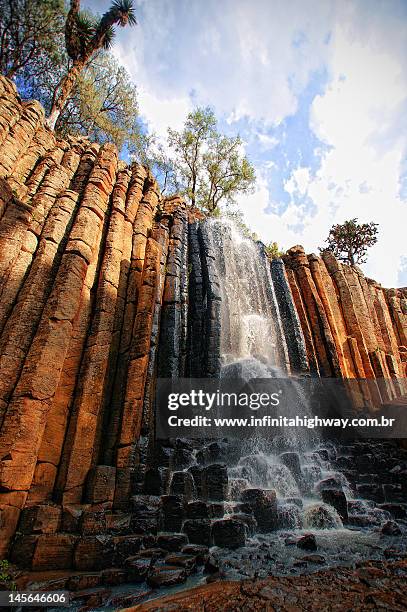 prismas basálticos huasca de ocampo hidalgo mexico - hidalgo stockfoto's en -beelden