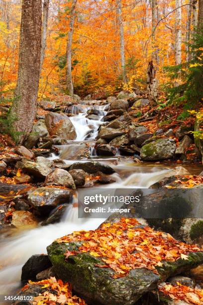 green mountains, vermont - montpelier vermont stock pictures, royalty-free photos & images