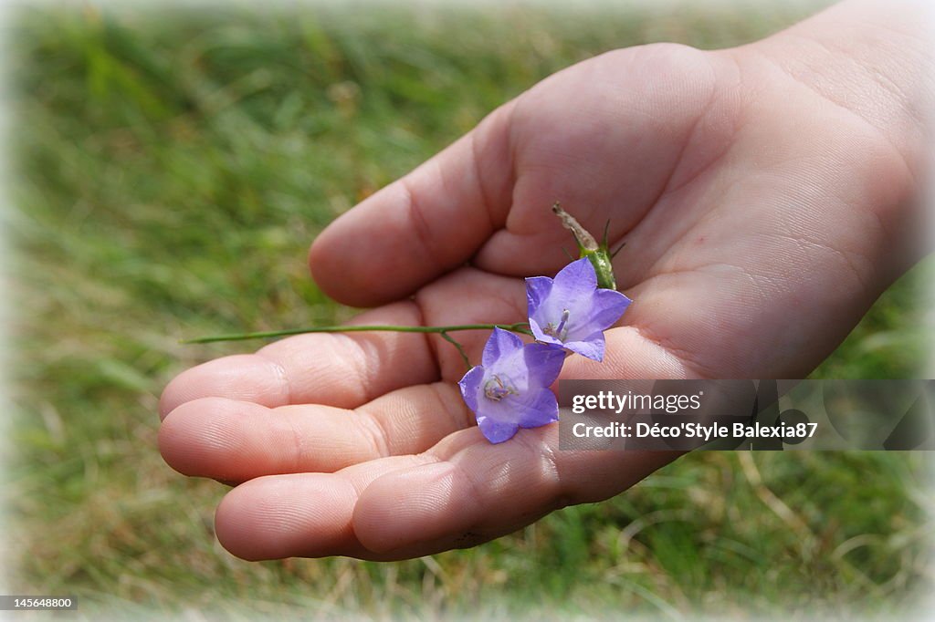 Human hand with flowers