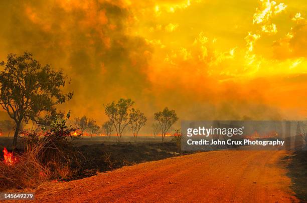 australian bush fires - australia fire - fotografias e filmes do acervo