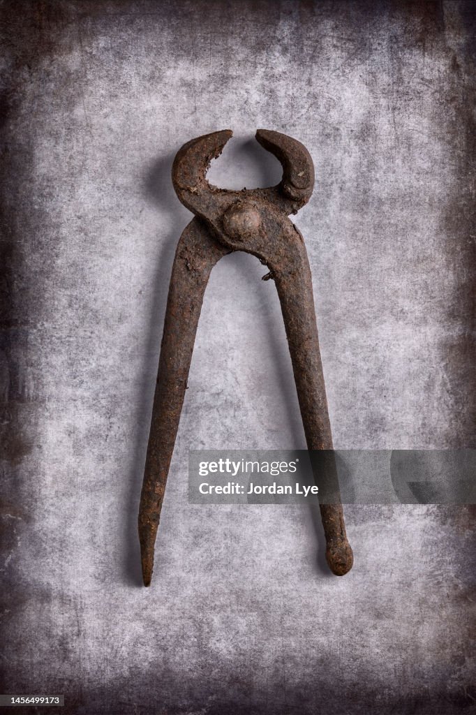 Carpenter's Pincers on the rustic background