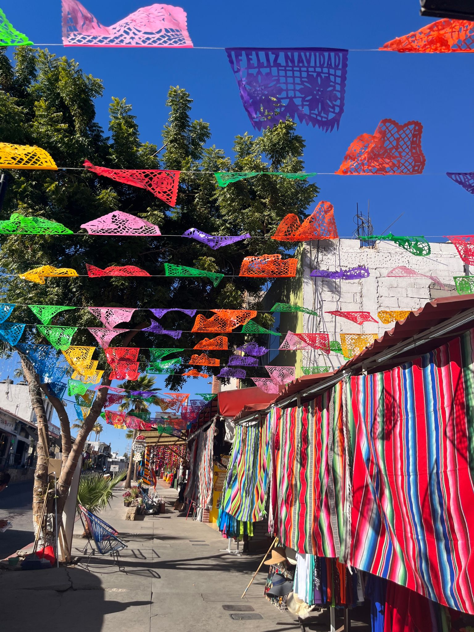 cabo festival