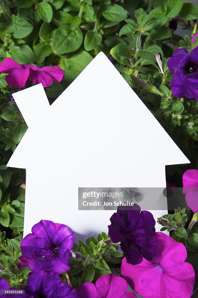 House cut-out against flowers