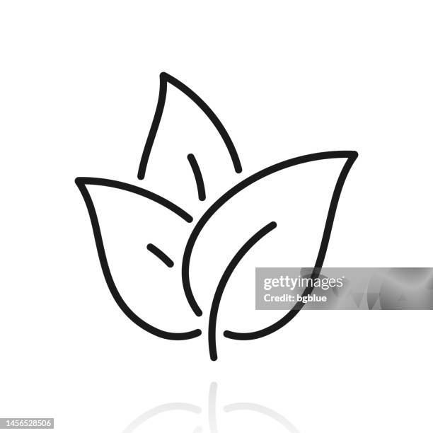 tea leaves. icon with reflection on white background - tea leaf white background stock illustrations