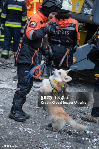 Rescuers with dogs during search and rescue operations at residential building hit by a missile on January 15, 2023 in Dnipro, Ukraine. On January...