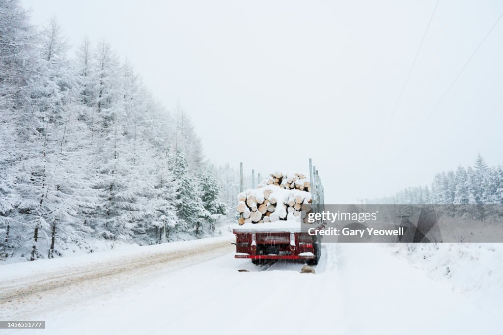 Rear view of Logging Truck in Scottish Highlands winter landscape