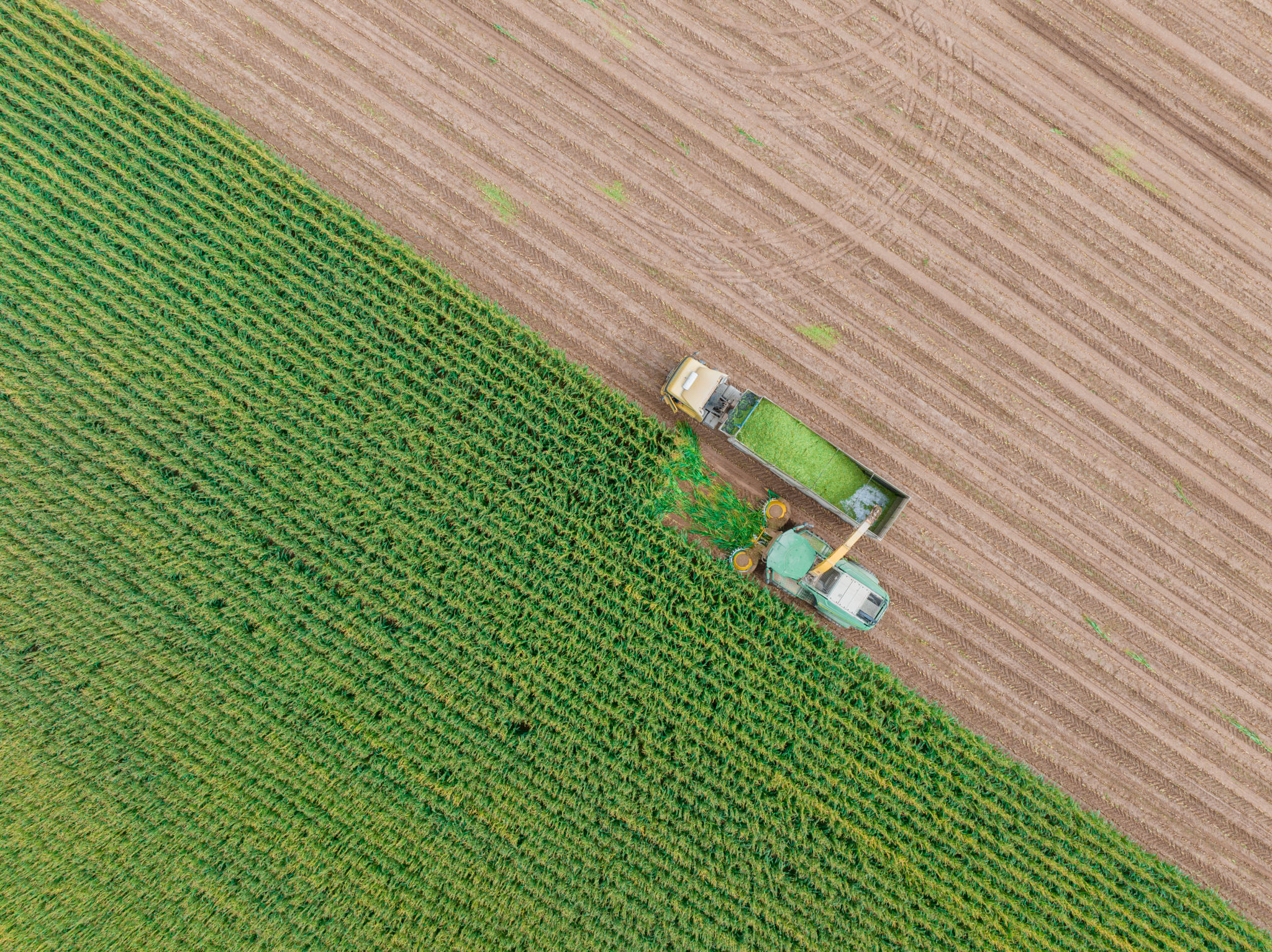 turkish agriculture