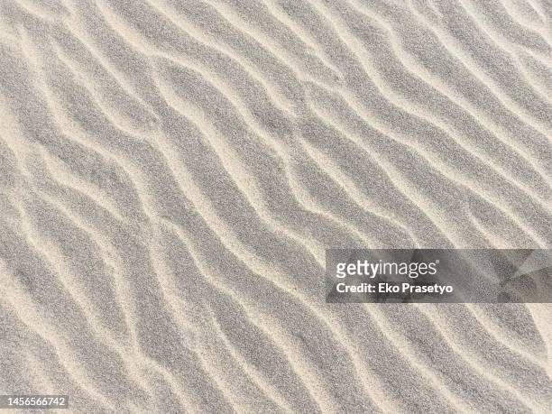 pattern of white sand beach formed by nature - sand textured textured effect stock pictures, royalty-free photos & images
