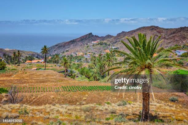 agricultura on canary islands la gomera in the province of santa cruz de tenerife - spain - gomera bildbanksfoton och bilder