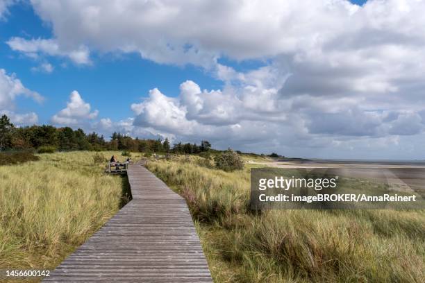 wooden footbridge, in the dunes between nieblum and grevelinginsel, foehr, north frisian island, north frisia, schleswig-holstein, germany - foehr island photos et images de collection