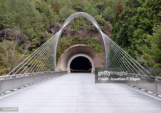 Miho Museum Bridge High-Res Stock Photo - Getty Images