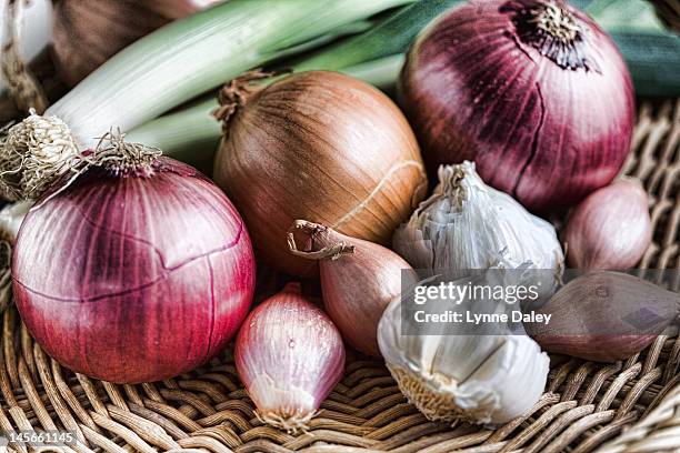 onions, garlic and shallots still life - oignon photos et images de collection