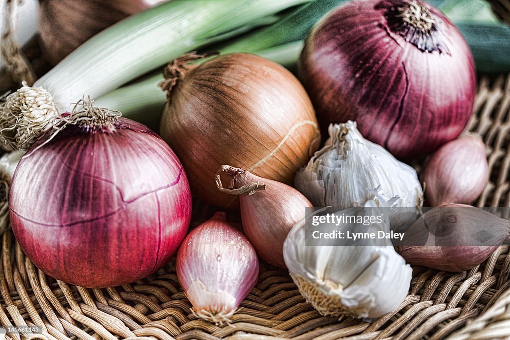 Onions, garlic and shallots still life