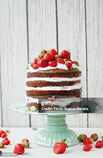 almond and yogurt layer cake - gateaux stockfoto's en -beelden