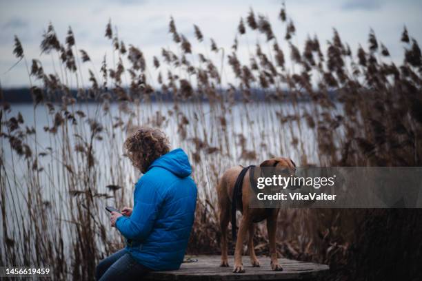 mann auf winterwanderung mit hund - rhodesian ridgeback stock-fotos und bilder