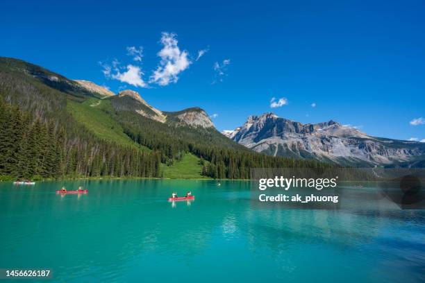 scenery of emerald lake in british columbia canada - yoho national park bildbanksfoton och bilder