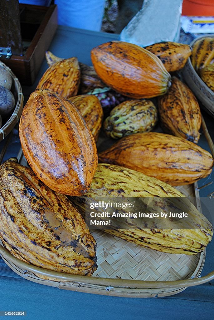Ripe Cocoa Pods