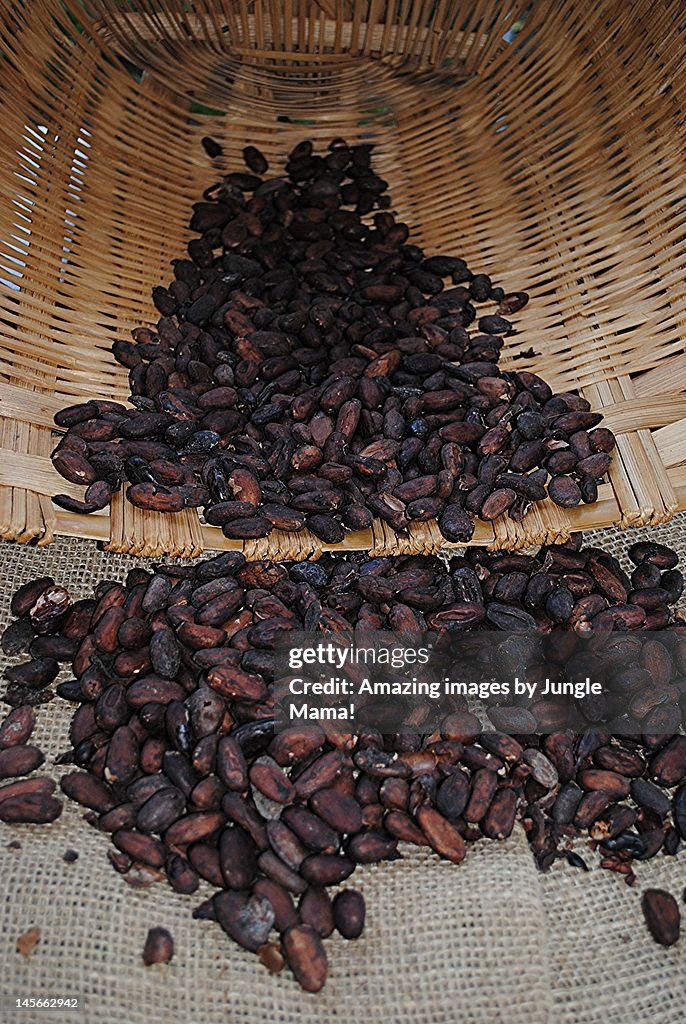 Chocolate beans