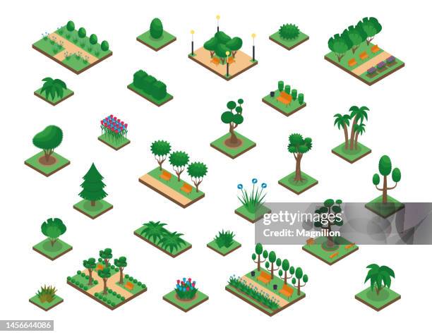 Fixed Plant Vector Vegetation Plants For The Park Isometric Vector Set High-Res Vector ...