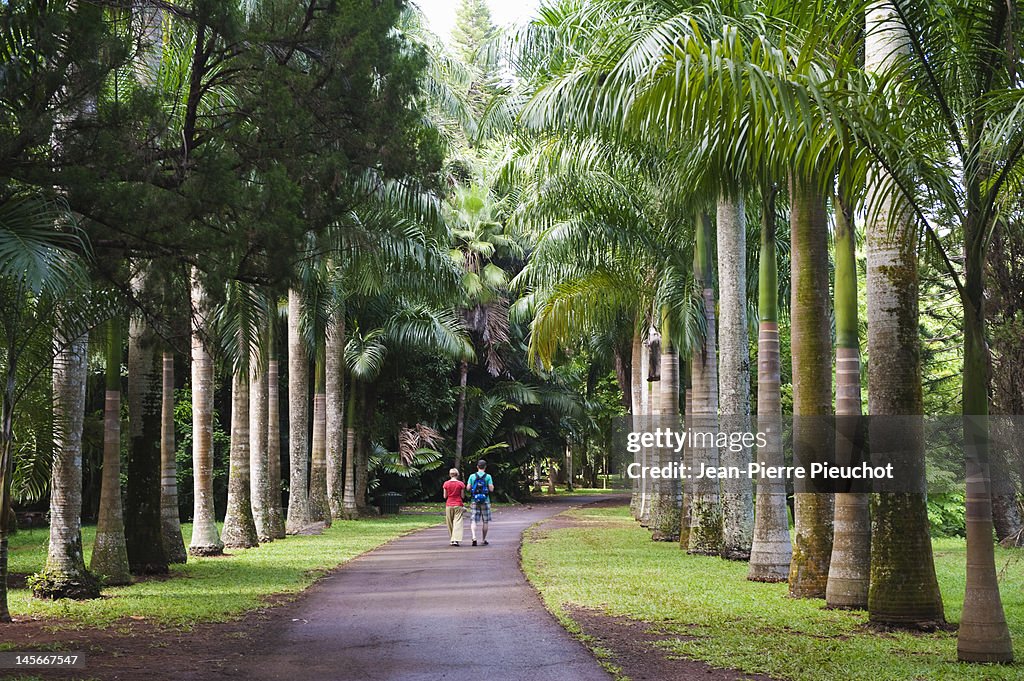 Pamplemousses gardens, north Mauritius