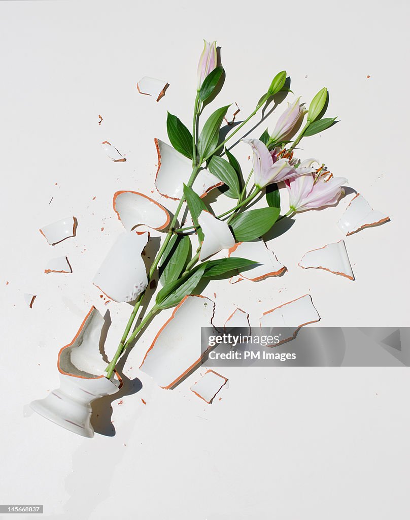 Broken Vase with Pink Lilies