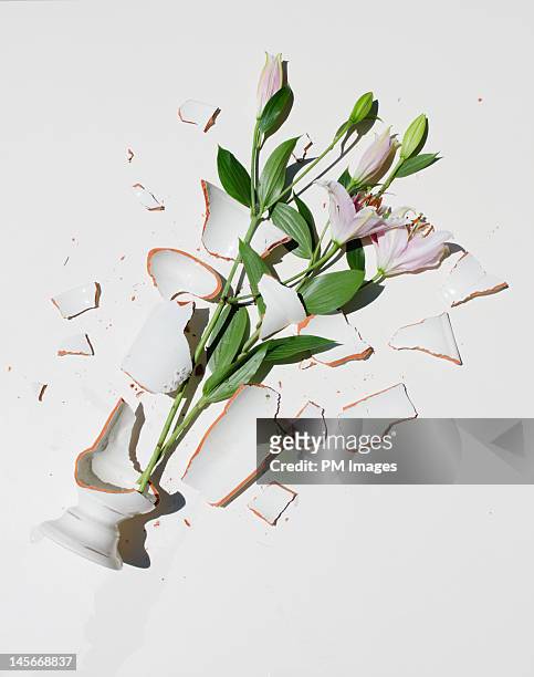 broken vase with pink lilies - flower vase stock pictures, royalty-free photos & images