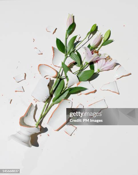 broken vase with pink lilies - vas bildbanksfoton och bilder