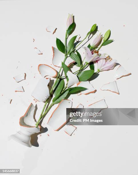 broken vase with pink lilies - 花瓶 個照片及圖片檔