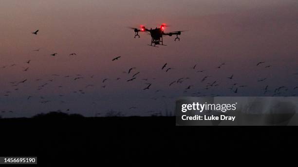 Drone flies over a known roost of red-billed quelea to spray them with pesticide on January 15, 2023 in Kisumu, Kenya. Kenyan authorities began...
