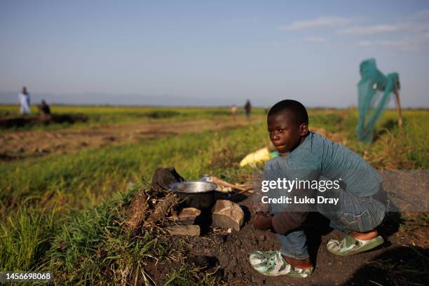 Young boy prepares food at a rice farm on January 14, 2023 in Kisumu, Kenya. Kenyan authorities began aerial spraying of pesticides to control the...