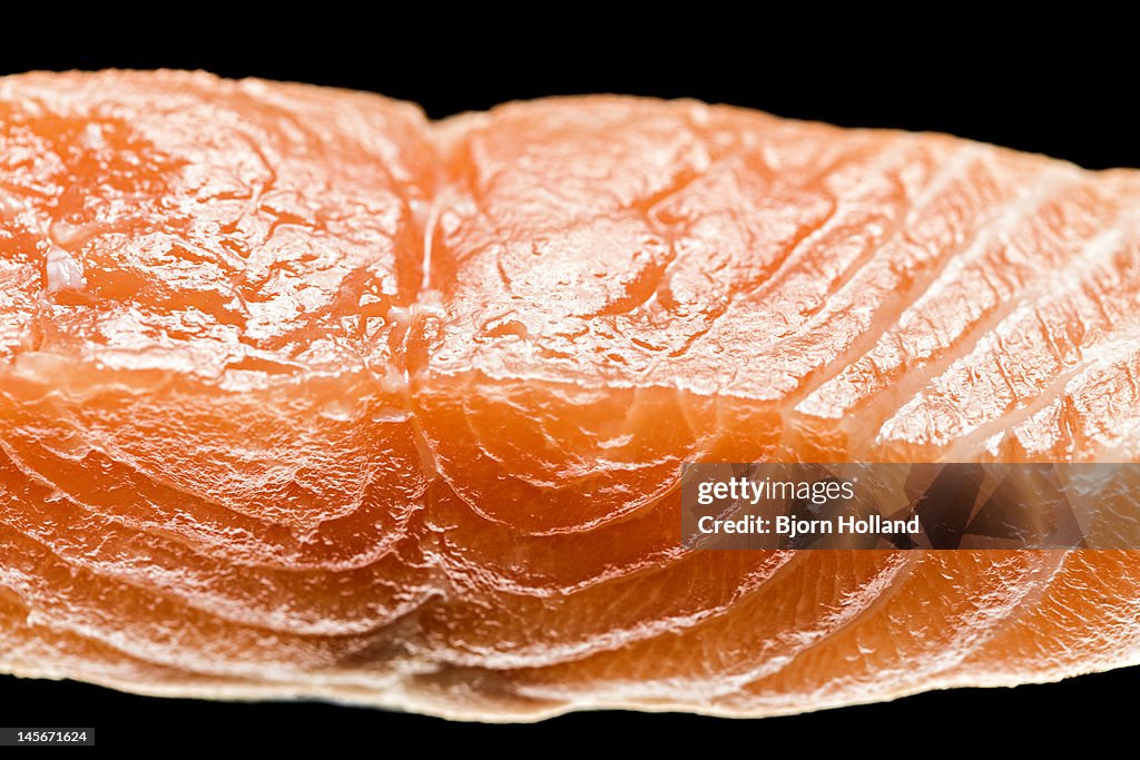 Salmon Filet